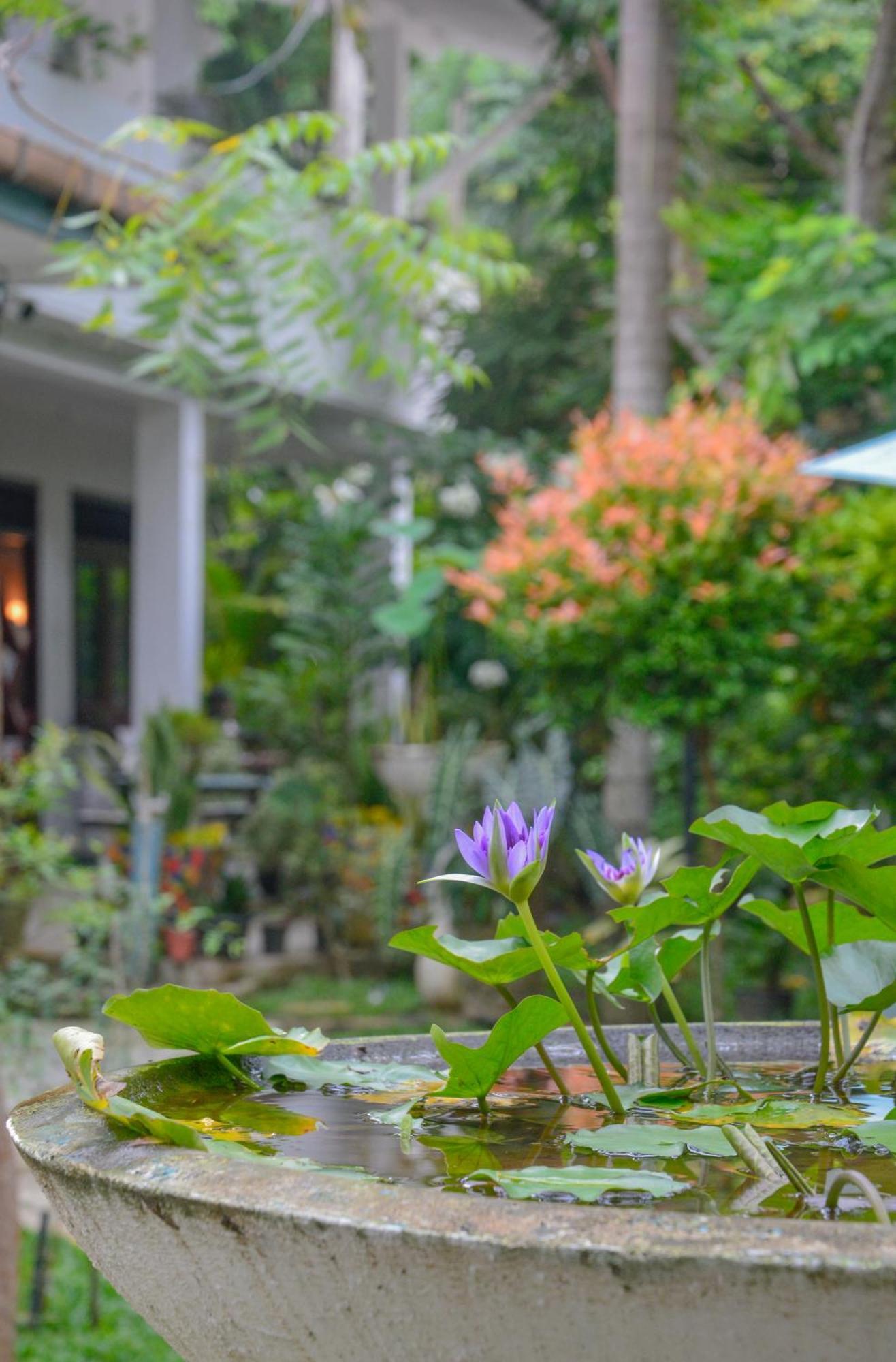 Palm Garden Guest House Galle Exterior foto