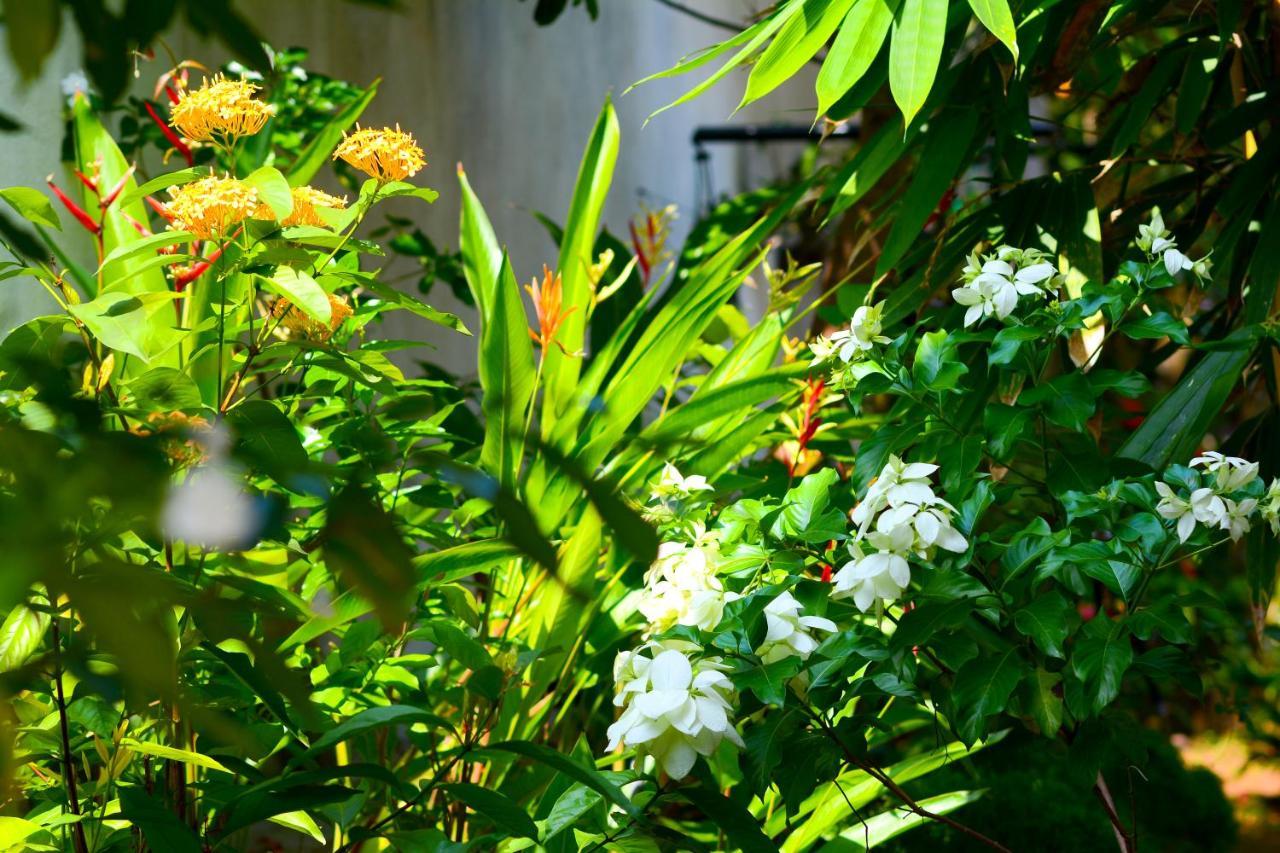 Palm Garden Guest House Galle Exterior foto