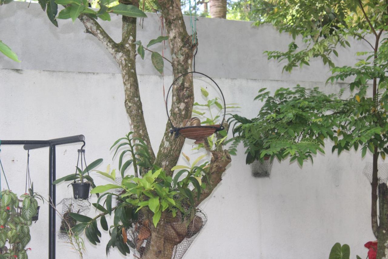 Palm Garden Guest House Galle Exterior foto